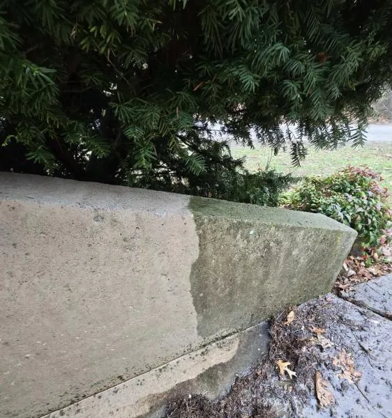 Concrete wall half cleaned showing a sharp before and after line