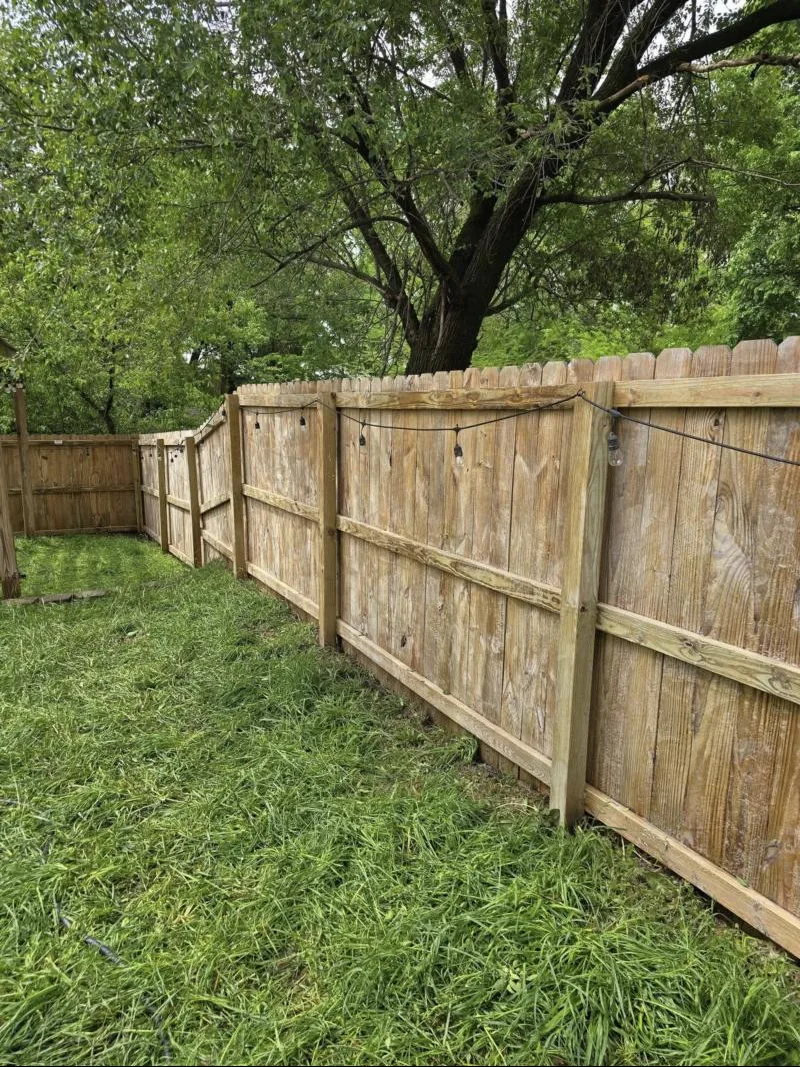 Clean wooden privacy fence after washing