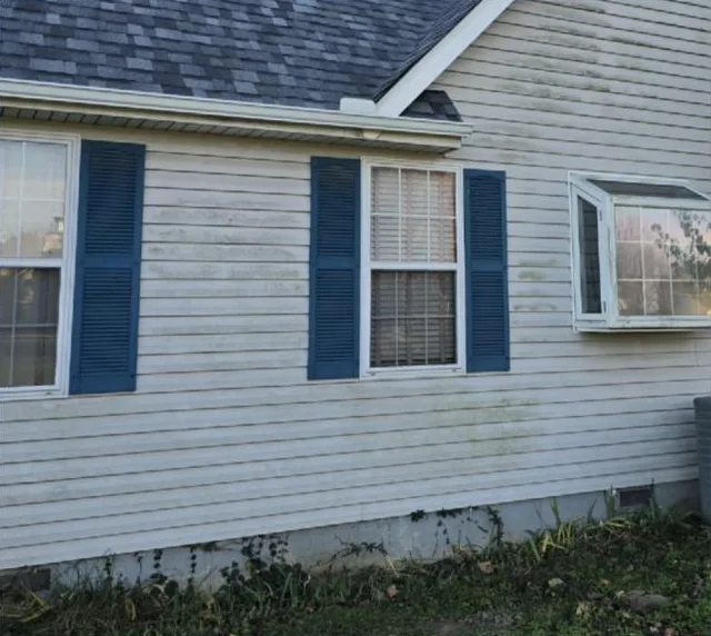 Vinyl siding streaked with green mildew before washing